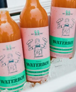 Mr Consistent Premium Cocktail Mixer - Waterboy New Accessories