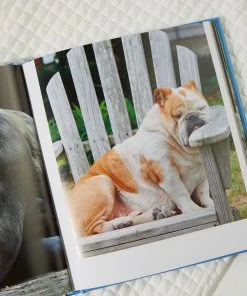 Harper Collins This Book Is Literally Just Pictures Of Snoozy Animals That Will Make You Sleep Better - Smith Street Books New & Most Loved