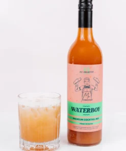 Mr Consistent Premium Cocktail Mixer - Waterboy New Accessories